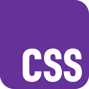 CSS3 logo